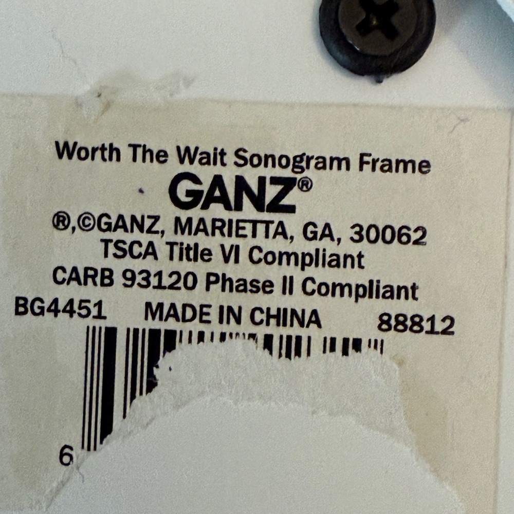 Baby Ganz Collection Worth The Wait Sonogram Frame White Wood Ultrasound Photo - Picture 4 of 7